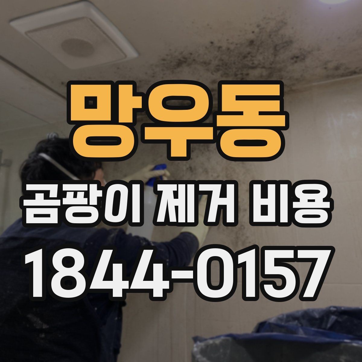 망우동 곰팡이 제거 비용 견적을 받을 때 비교해야 할 순서