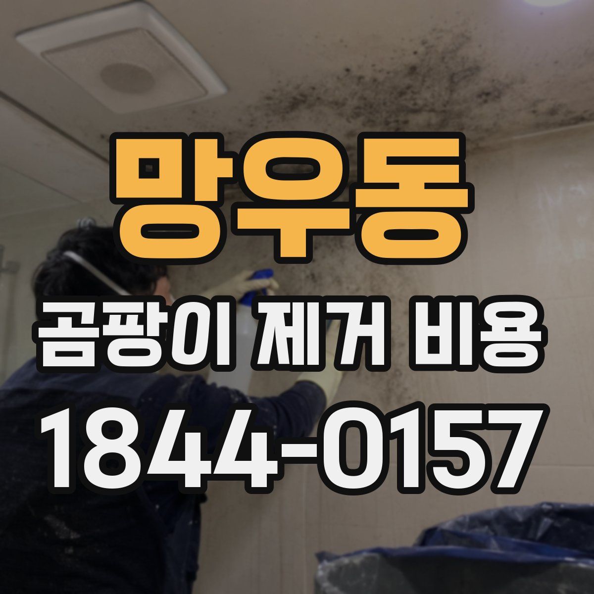 망우동 곰팡이 제거 비용