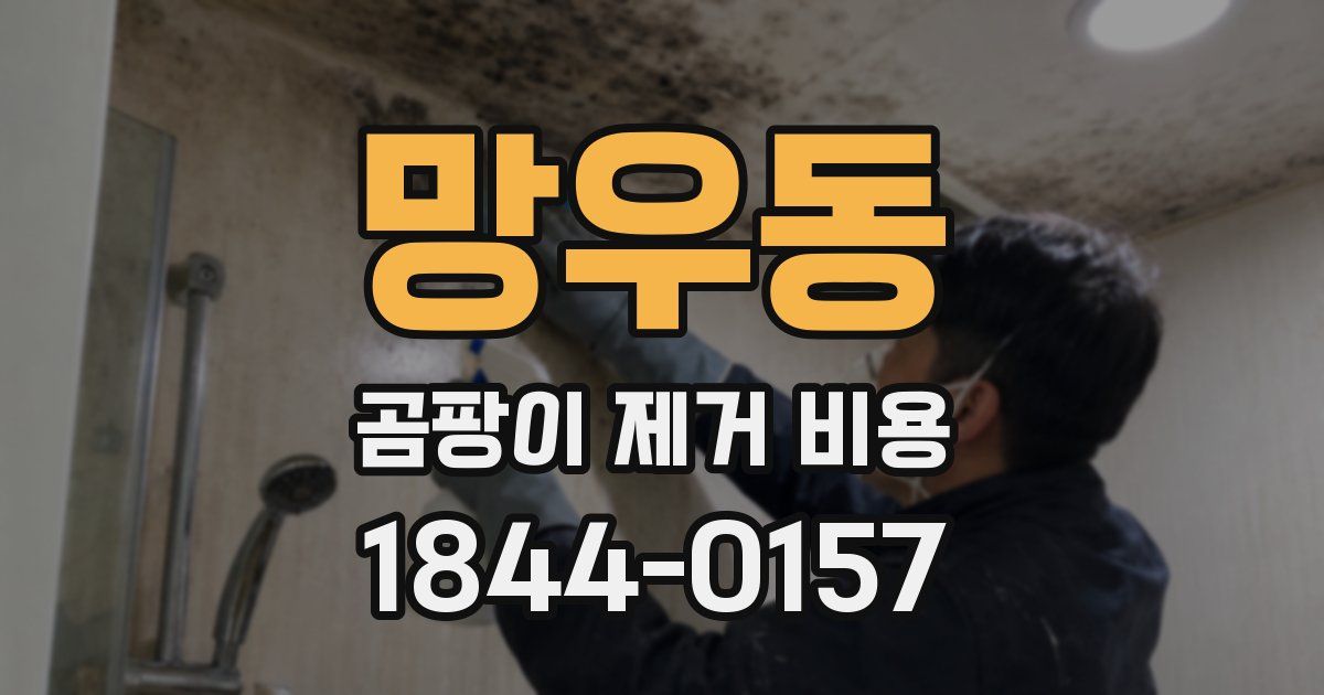 망우동 곰팡이 제거 비용