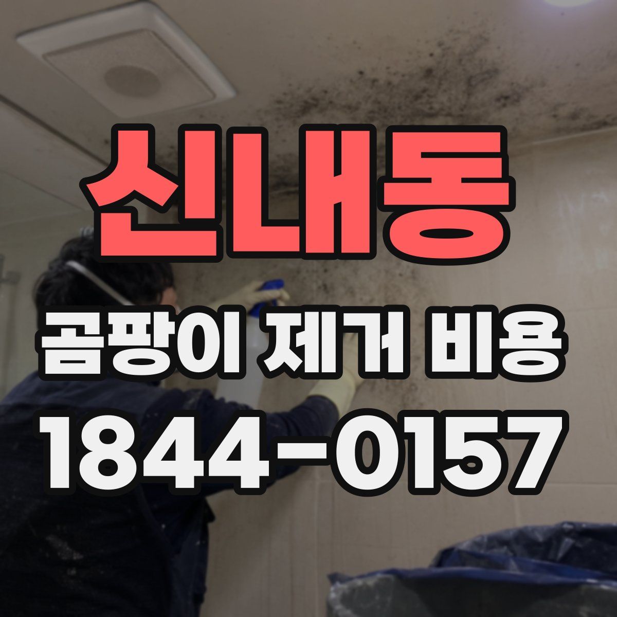 신내동 곰팡이 제거 비용