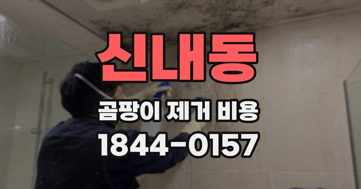 신내동 곰팡이 제거 비용