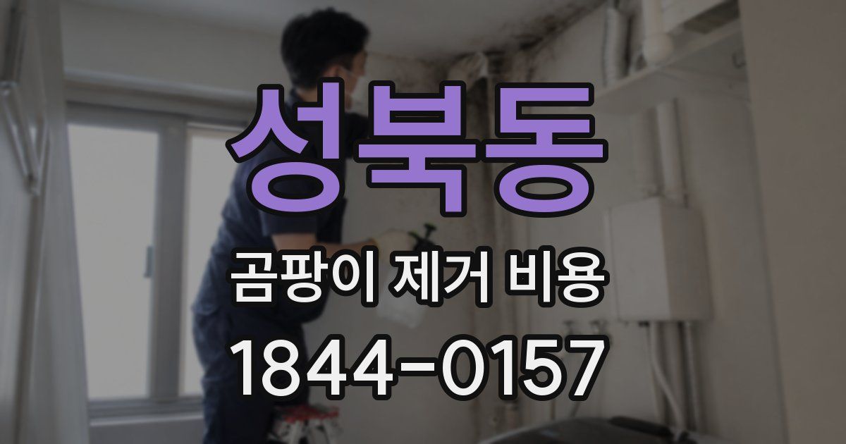 성북동 곰팡이 제거 비용