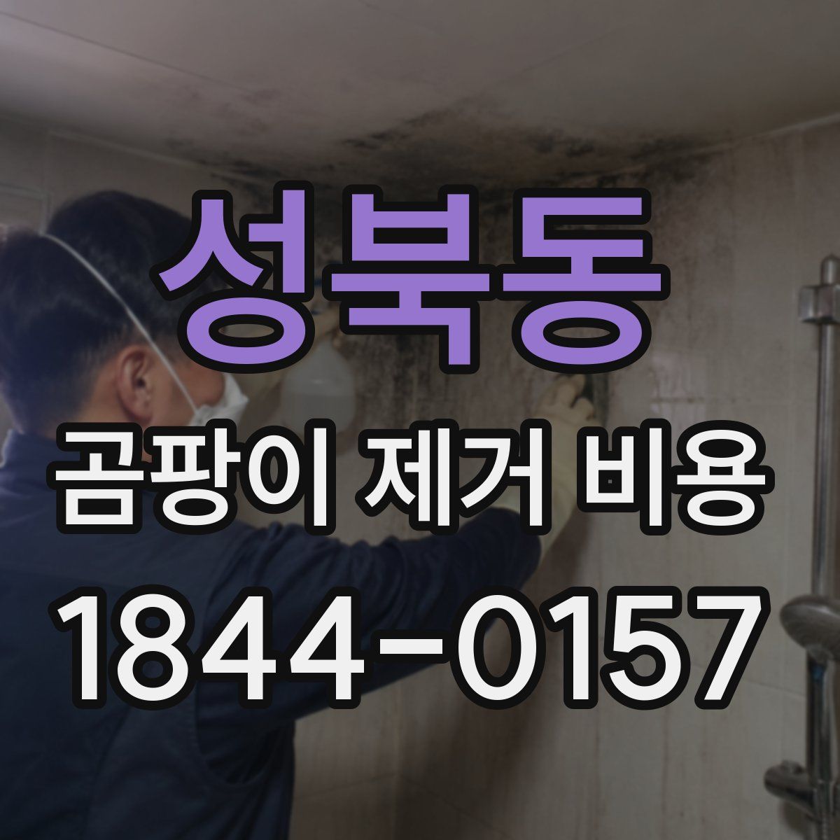 성북동 곰팡이 제거 비용