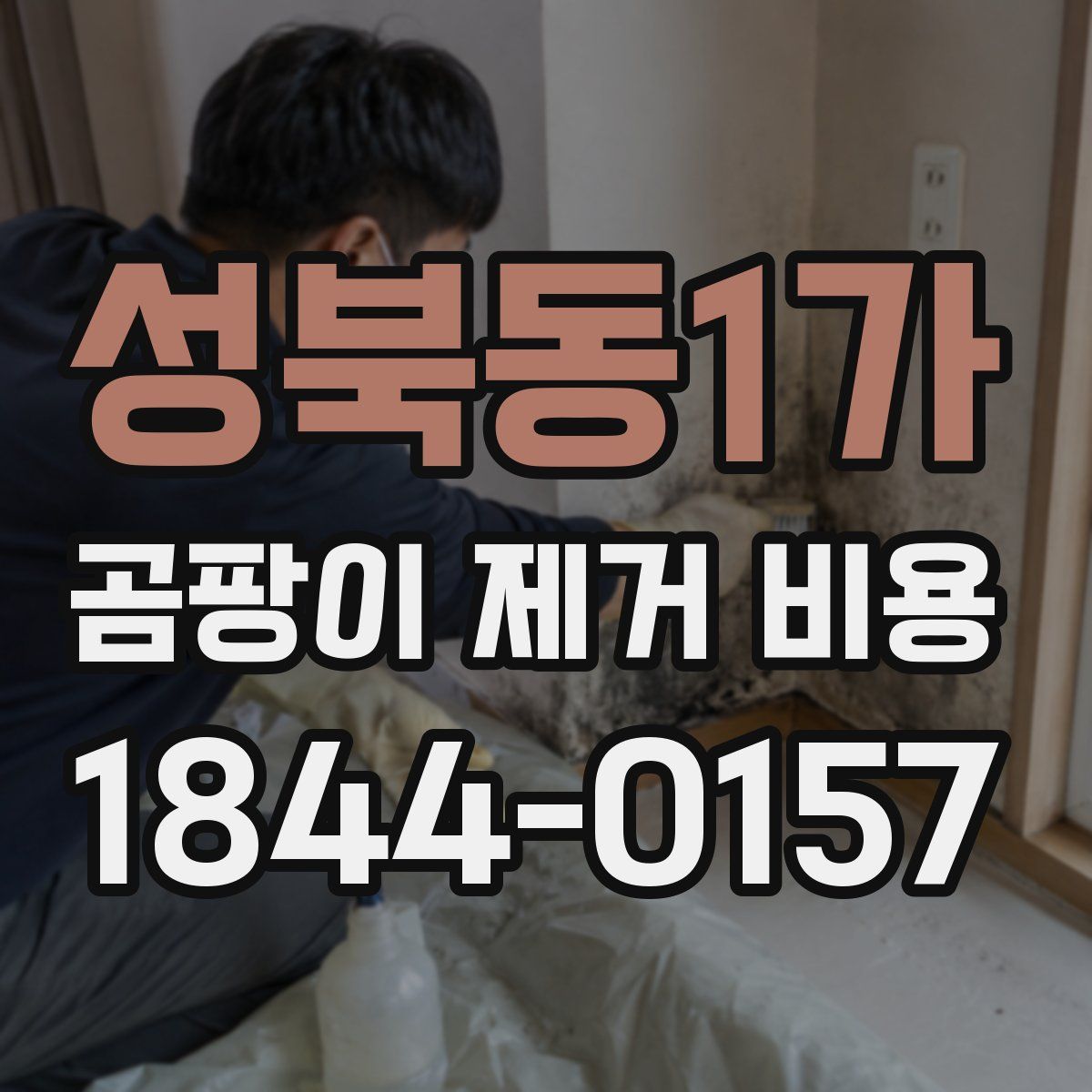 성북동1가 곰팡이 제거 비용