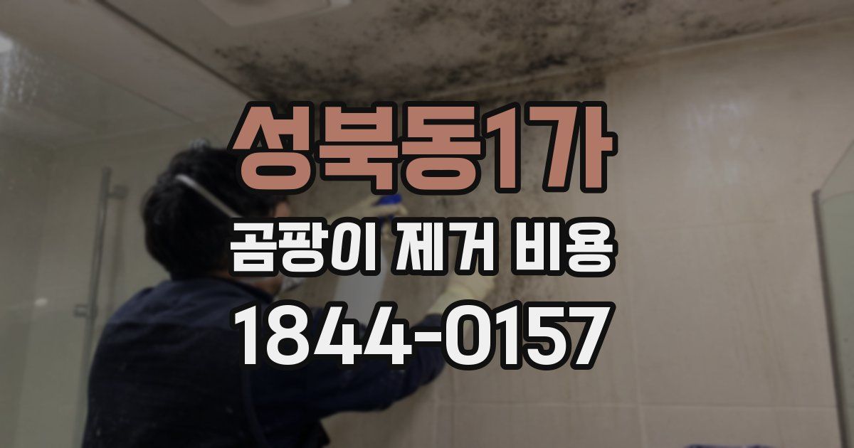 성북동1가 곰팡이 제거 비용