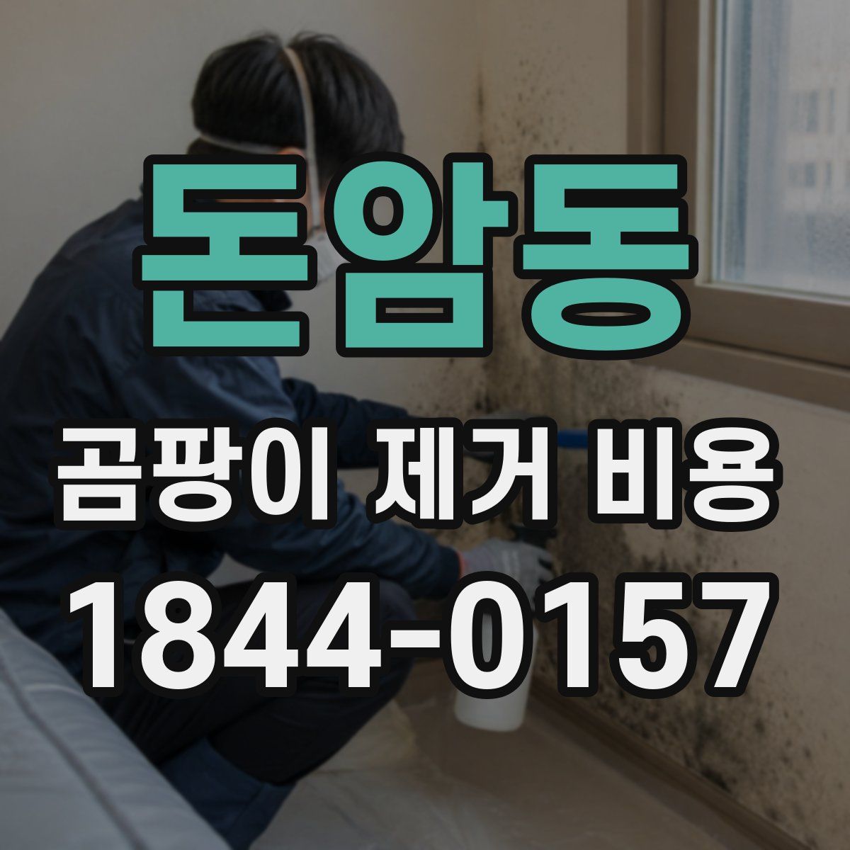 돈암동 곰팡이 제거 비용