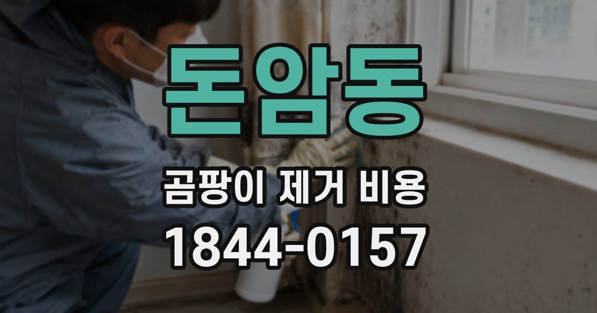 돈암동 곰팡이 제거 비용