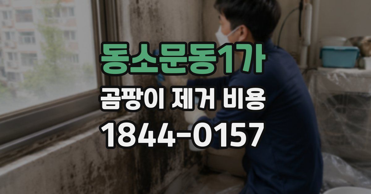 동소문동1가 곰팡이 제거 비용
