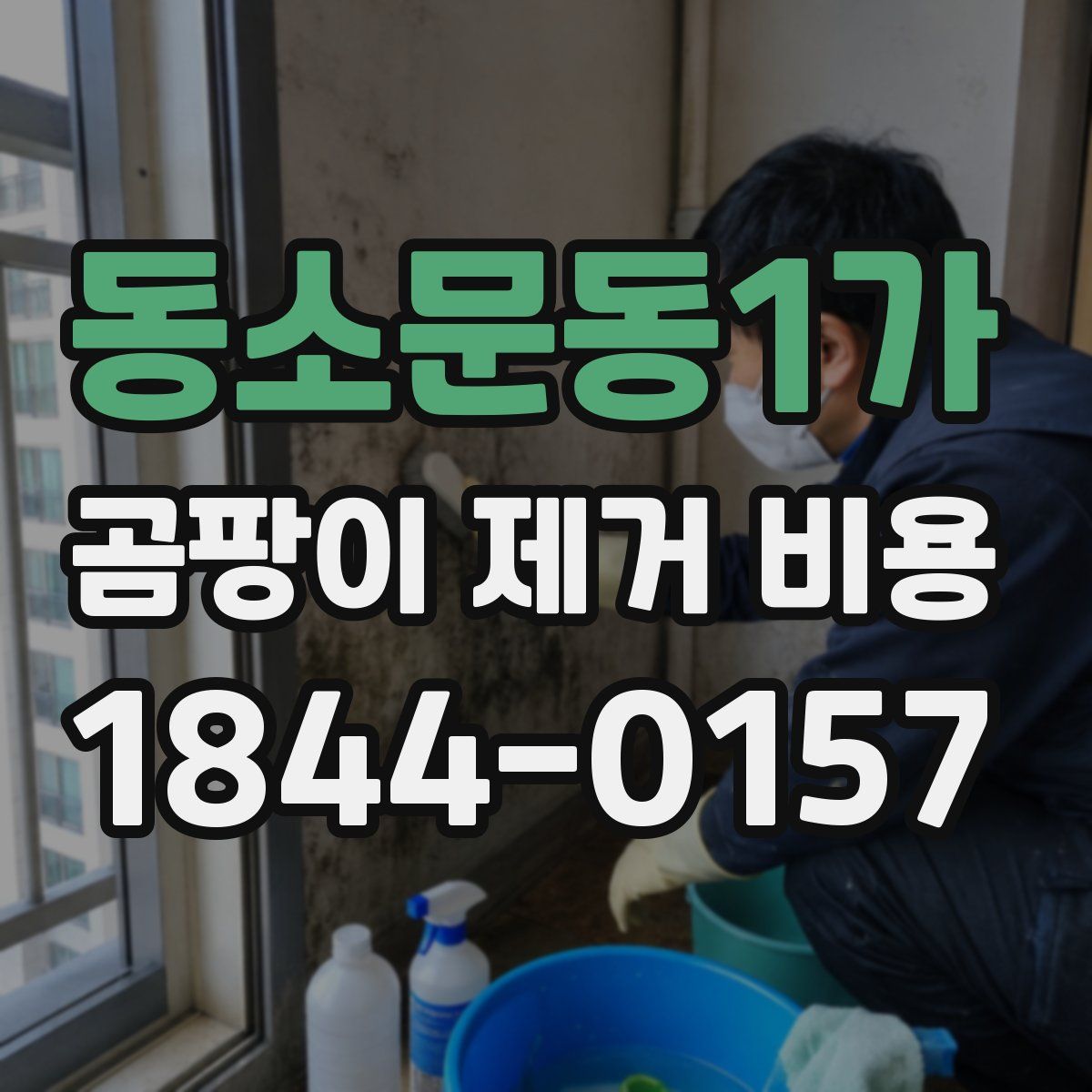 동소문동1가 곰팡이 제거 비용