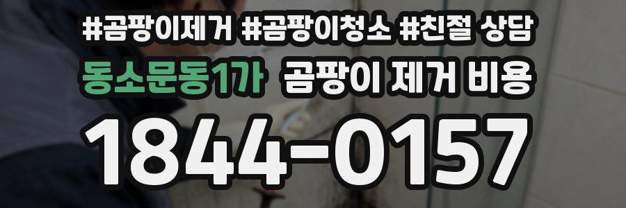 동소문동1가 곰팡이 제거 비용