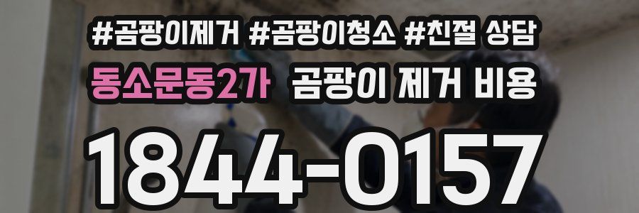 동소문동2가 곰팡이 제거 비용