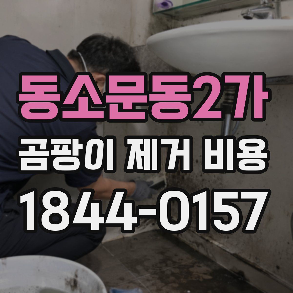 동소문동2가 곰팡이 제거 비용