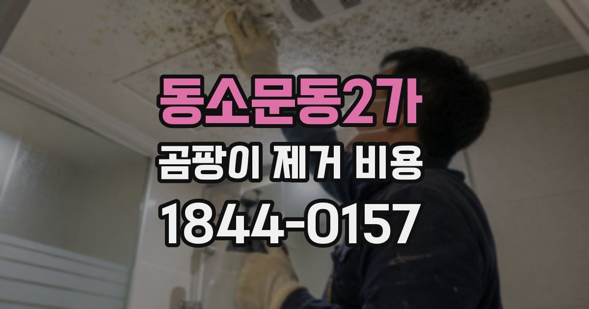 동소문동2가 곰팡이 제거 비용