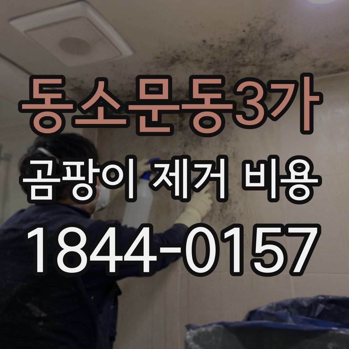 동소문동3가 곰팡이 제거 비용 계약 전에 확인할 체크리스트