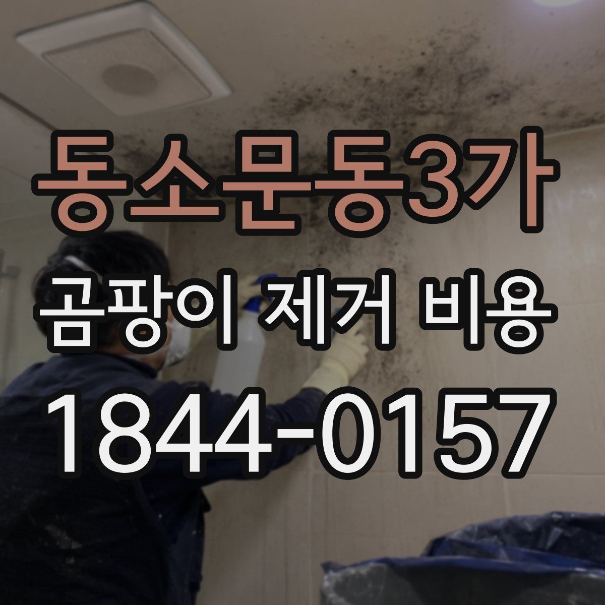 동소문동3가 곰팡이 제거 비용