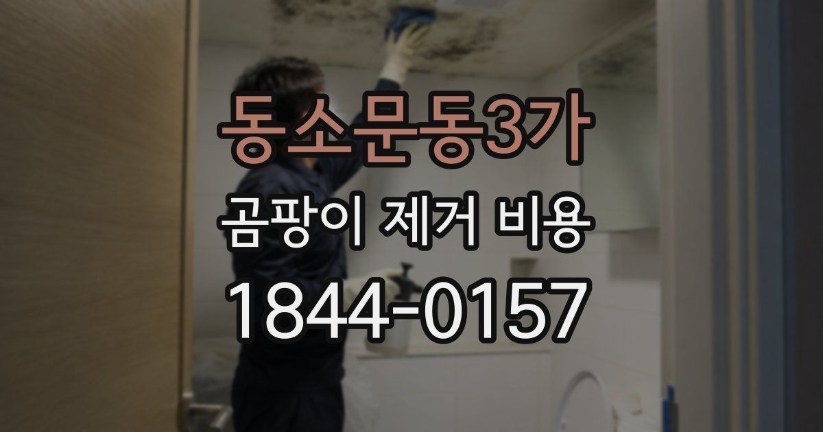 동소문동3가 곰팡이 제거 비용