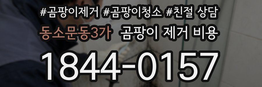 동소문동3가 곰팡이 제거 비용