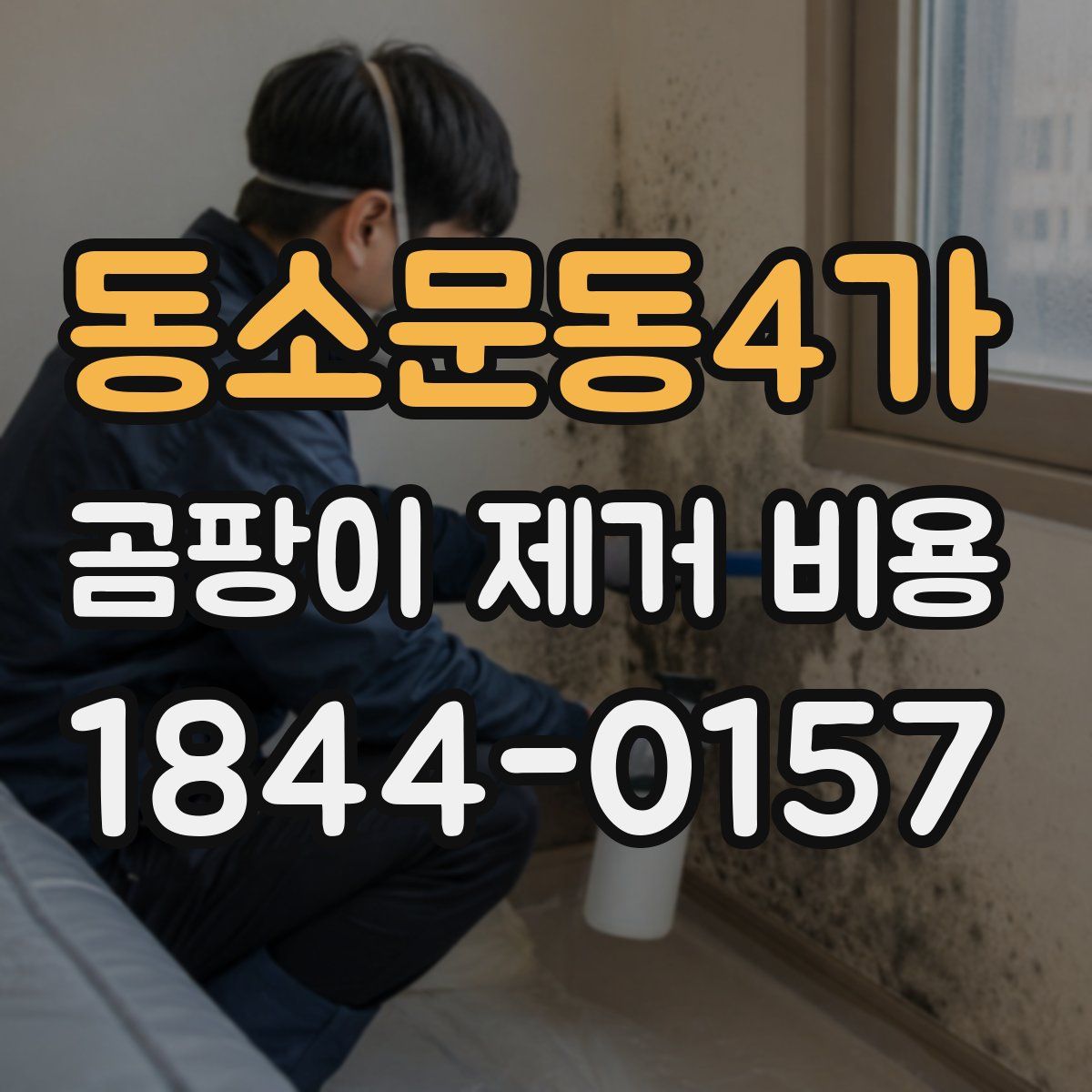 동소문동4가 곰팡이 제거 비용