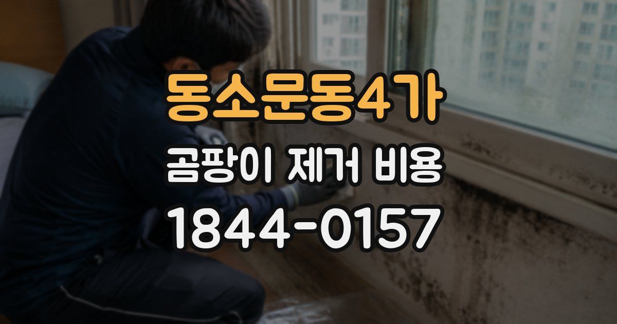 동소문동4가 곰팡이 제거 비용