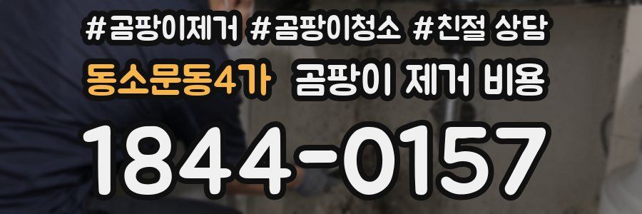 동소문동4가 곰팡이 제거 비용