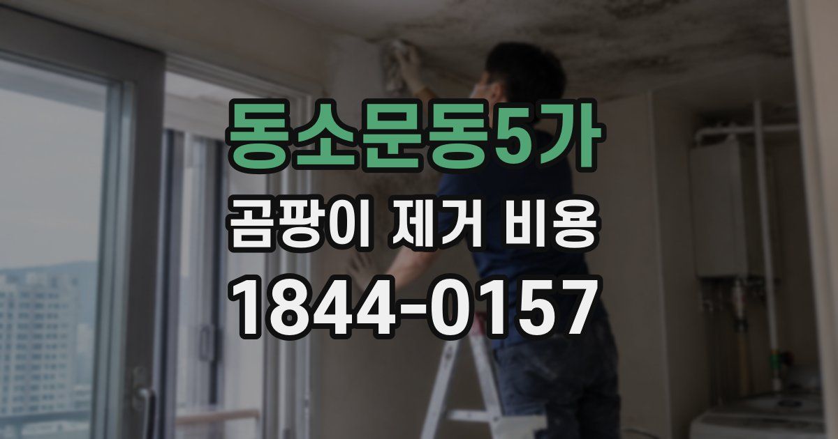 동소문동5가 곰팡이 제거 비용