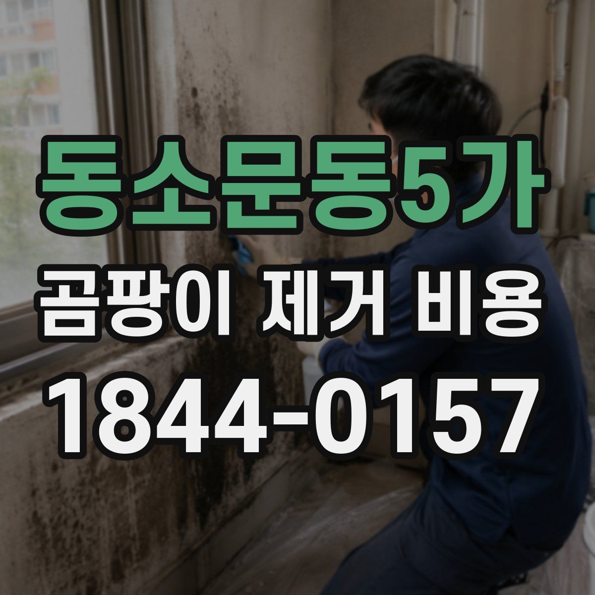 동소문동5가 곰팡이 제거 비용