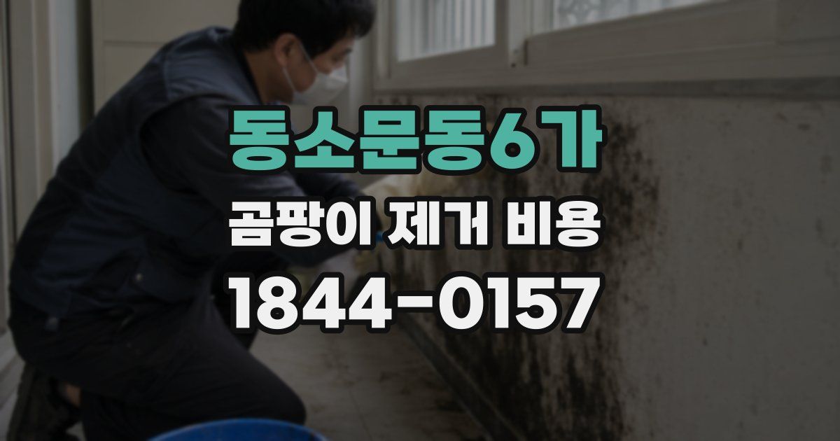 동소문동6가 곰팡이 제거 비용
