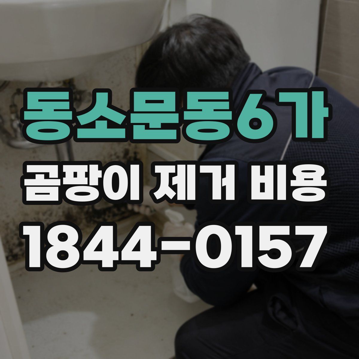 동소문동6가 곰팡이 제거 비용