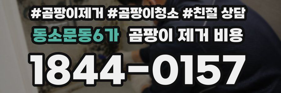 동소문동6가 곰팡이 제거 비용
