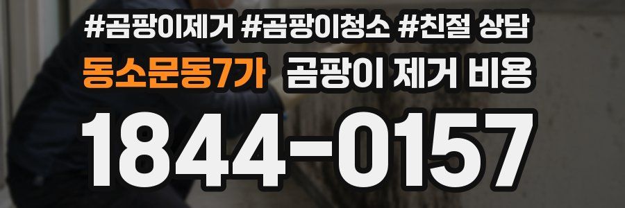 동소문동7가 곰팡이 제거 비용