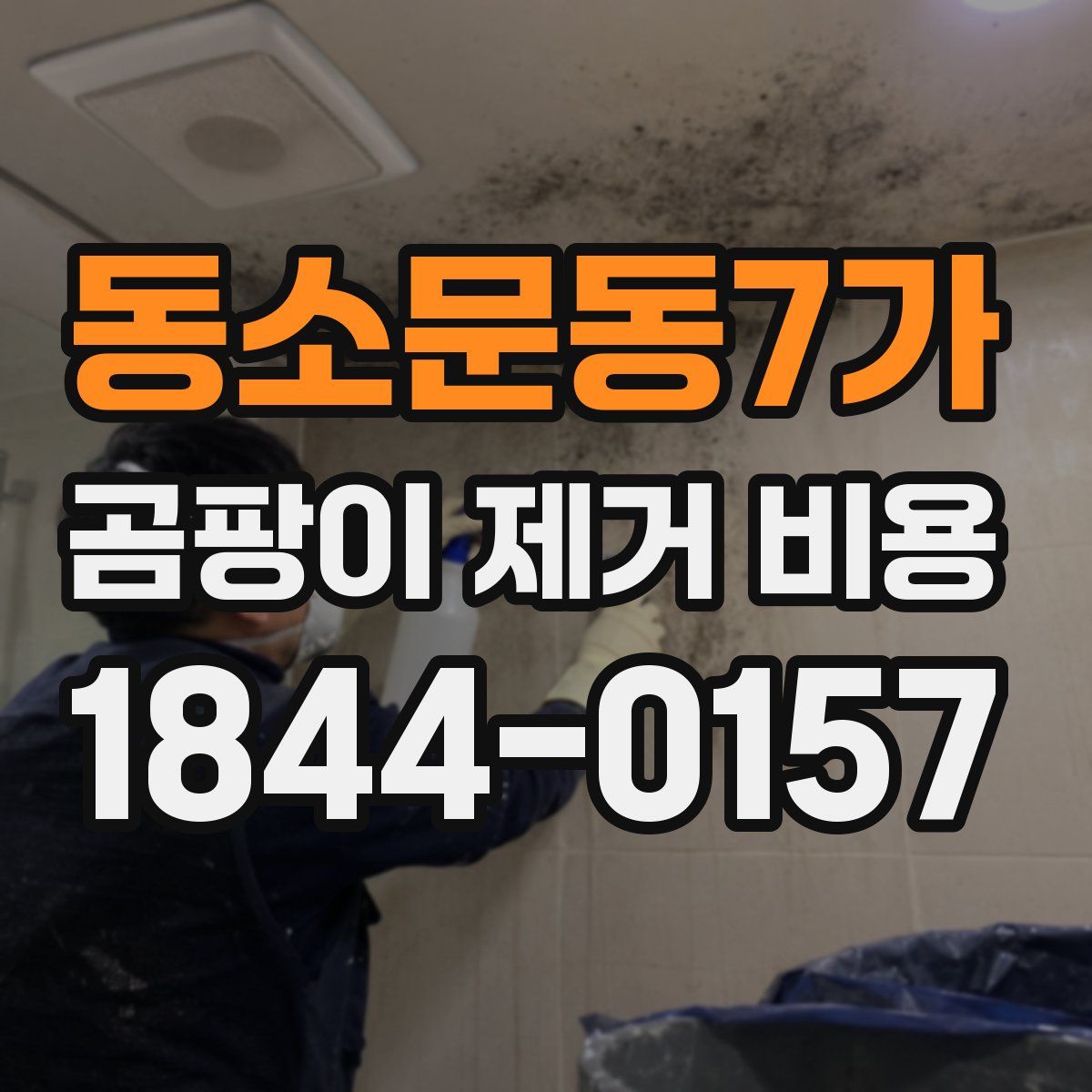 동소문동7가 곰팡이 제거 비용