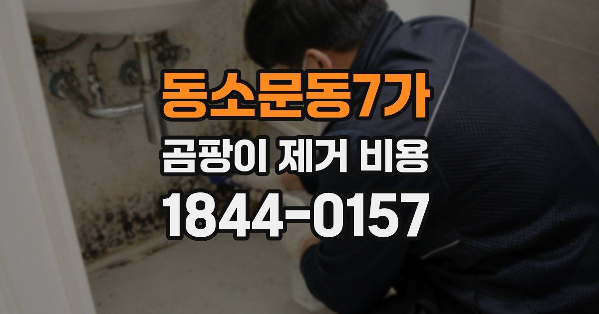 동소문동7가 곰팡이 제거 비용