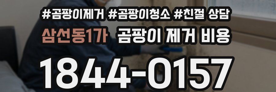삼선동1가 곰팡이 제거 비용