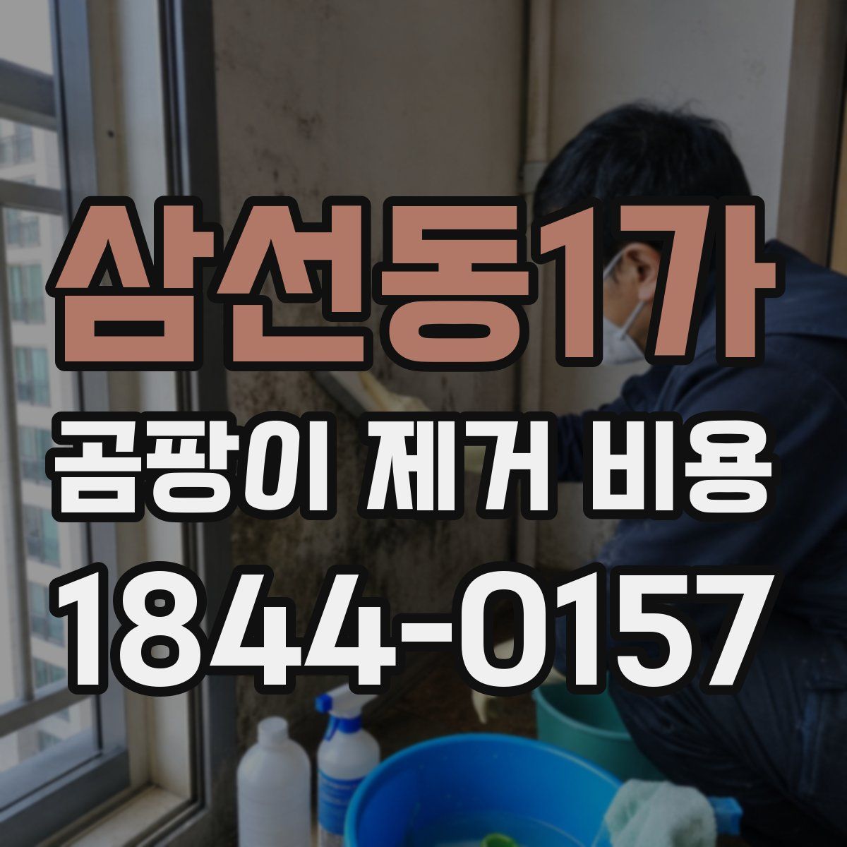 삼선동1가 곰팡이 제거 비용