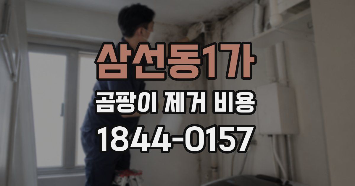삼선동1가 곰팡이 제거 비용
