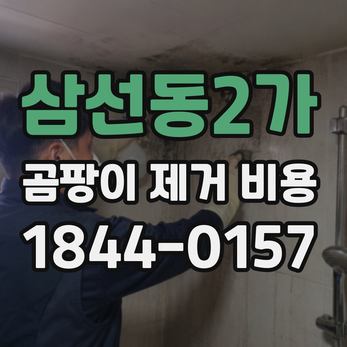 삼선동2가 곰팡이 제거 비용