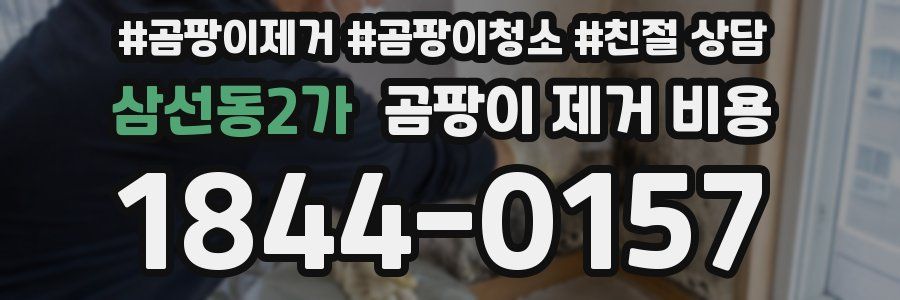 삼선동2가 곰팡이 제거 비용