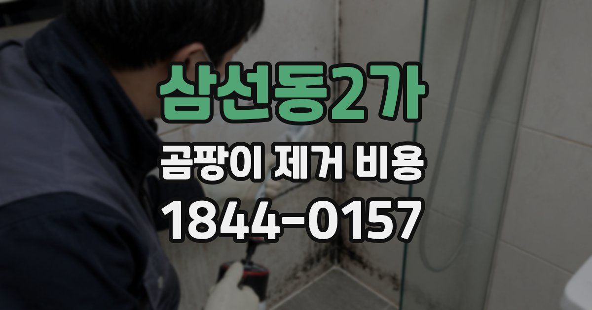 삼선동2가 곰팡이 제거 비용
