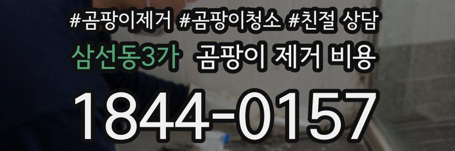 삼선동3가 곰팡이 제거 비용