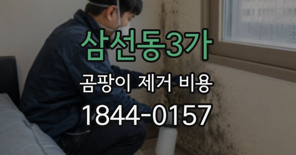 삼선동3가 곰팡이 제거 비용