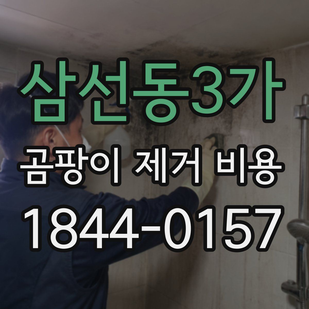삼선동3가 곰팡이 제거 비용