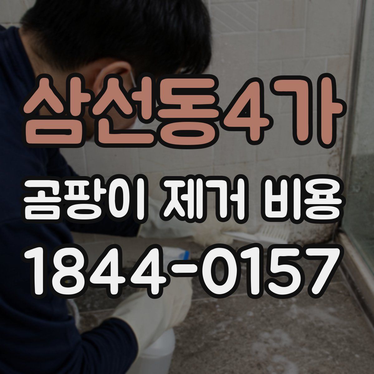 삼선동4가 곰팡이 제거 비용