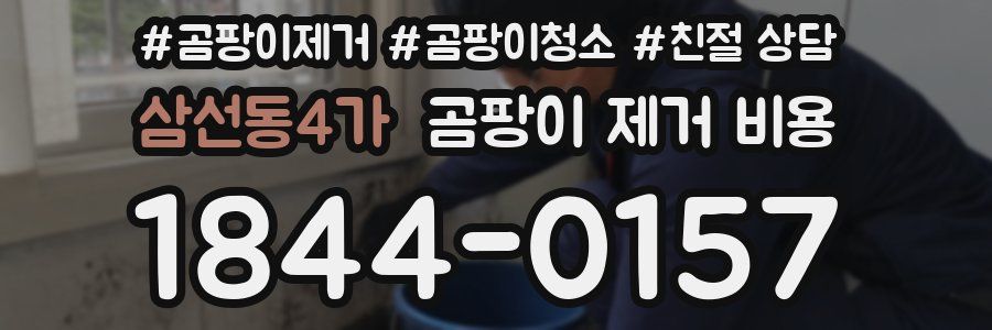 삼선동4가 곰팡이 제거 비용