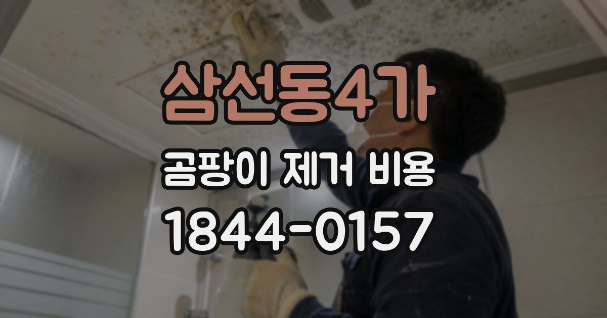 삼선동4가 곰팡이 제거 비용