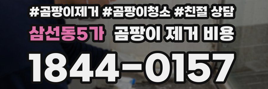 삼선동5가 곰팡이 제거 비용