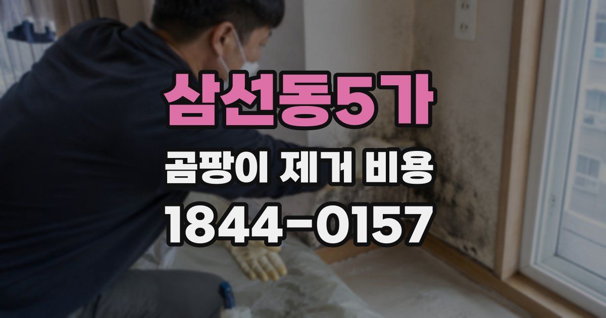 삼선동5가 곰팡이 제거 비용