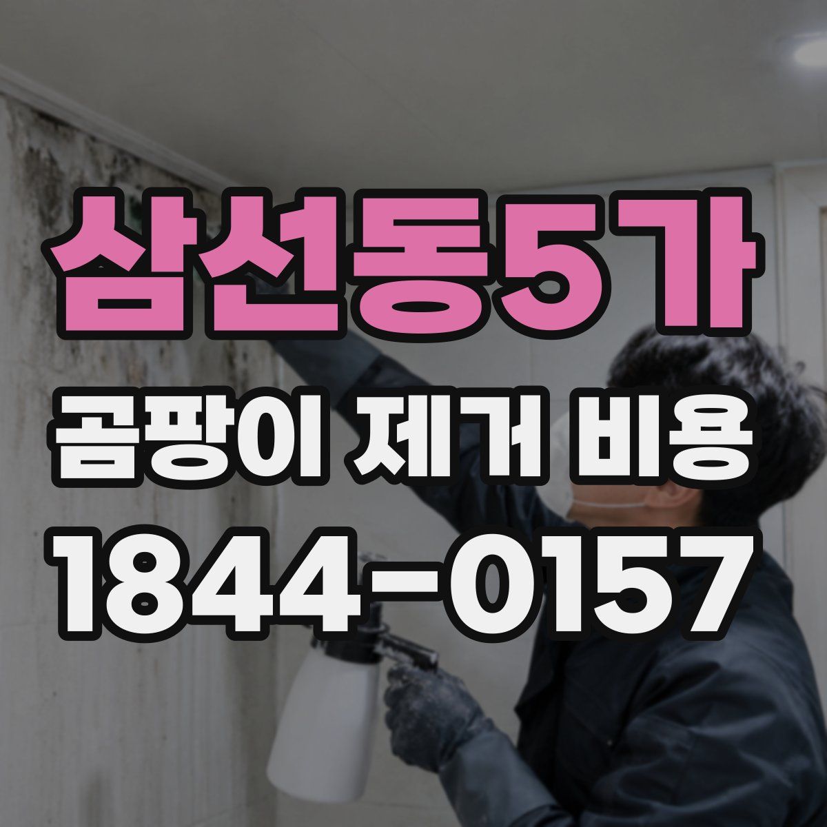 삼선동5가 곰팡이 제거 비용