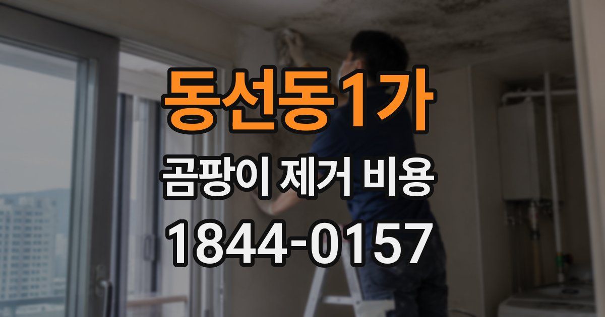 동선동1가 곰팡이 제거 비용