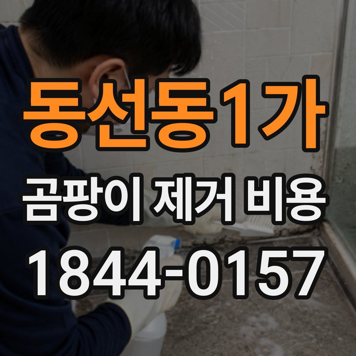 동선동1가 곰팡이 제거 비용