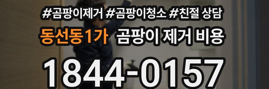 동선동1가 곰팡이 제거 비용